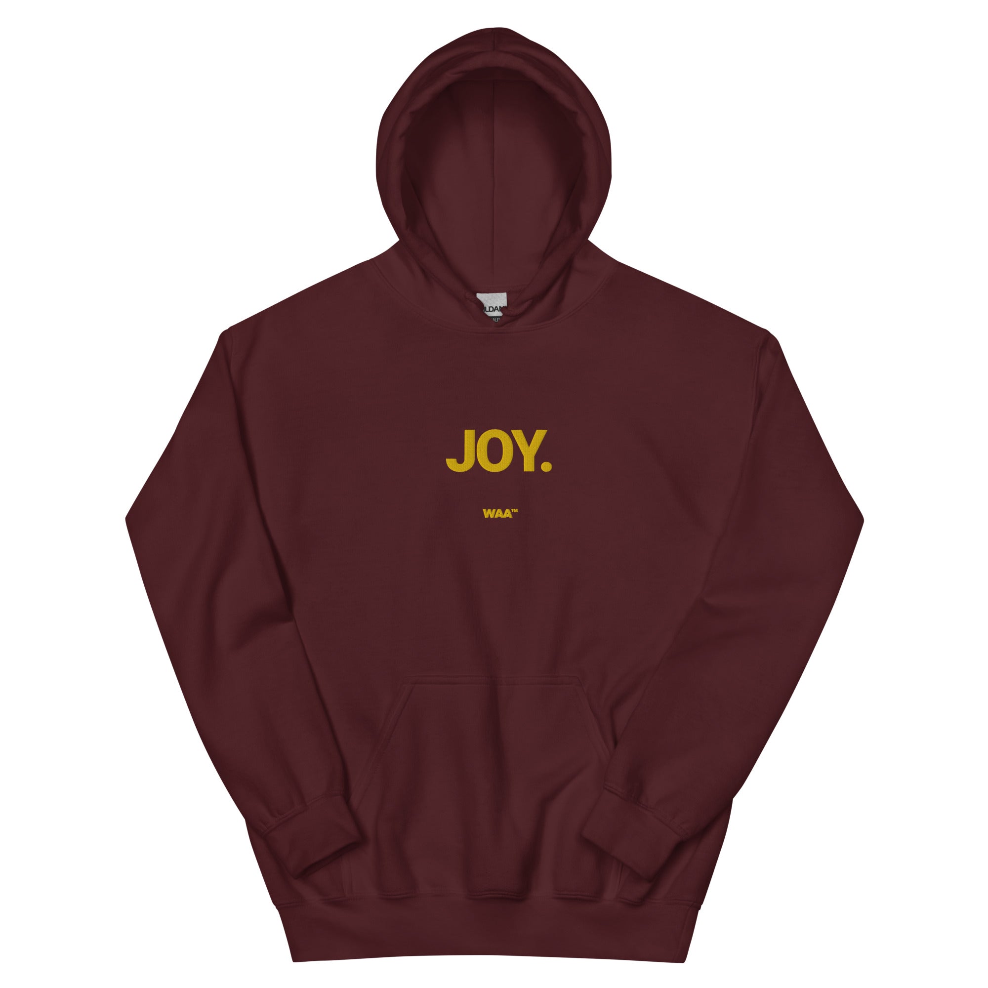 Joy Unisex Christian Hoodie (Dark)
