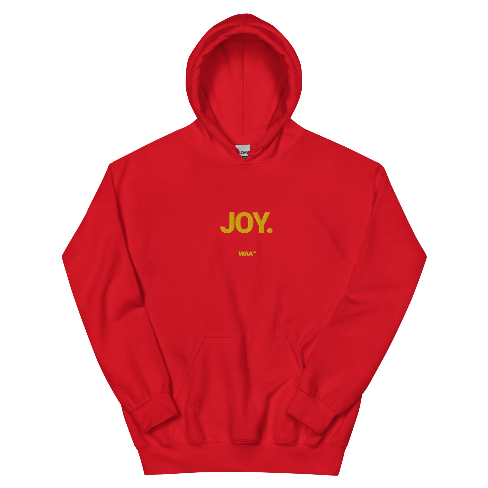 Joy Unisex Christian Hoodie (Dark)